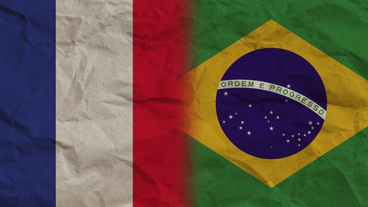 🛒 Loja de produtos brasileiros em França