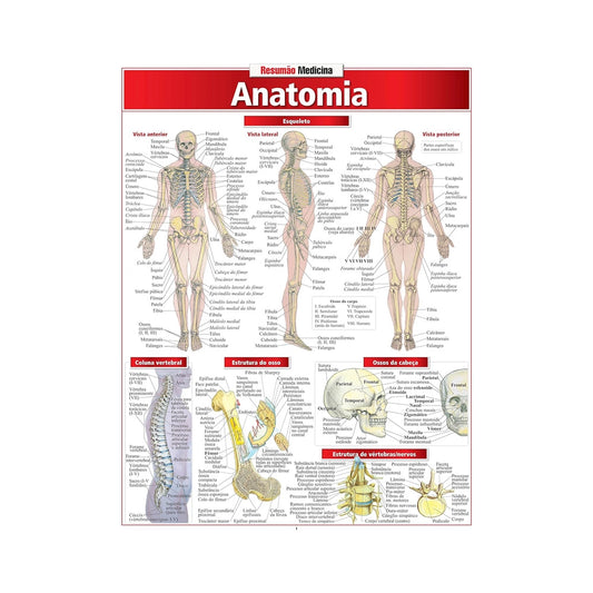 Resumão Medicina: Anatomia