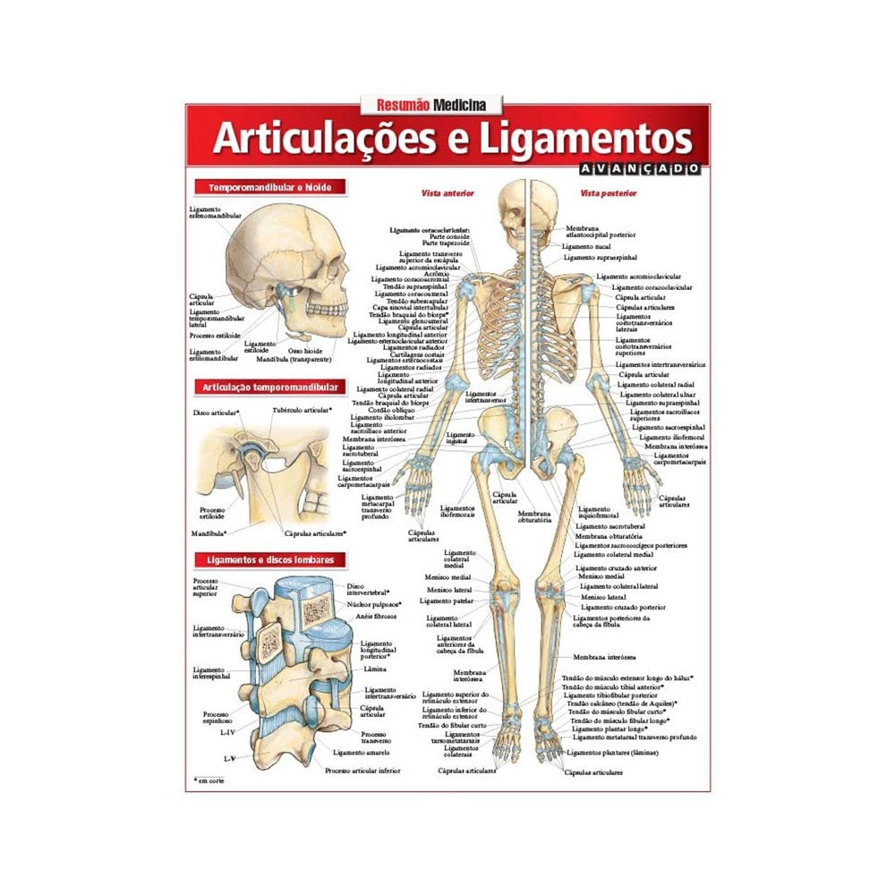 Resumão Medicina: Articulações e Ligamentos Avançado